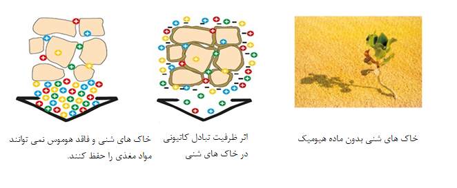 فرسایش خاک